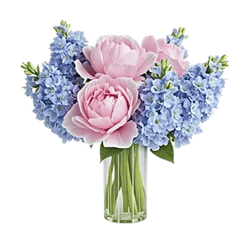 Petal Radiance Bliss