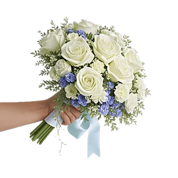 Serene Petal Harmony