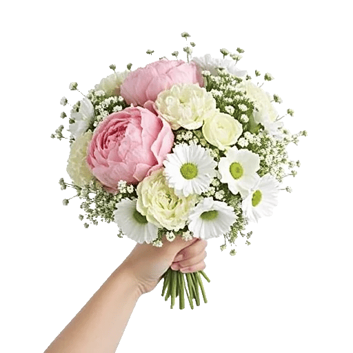 Peony Petal Harmony