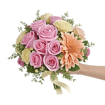 Pastel Pink Roses
