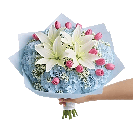 Serene Petal Harmony