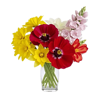 Petal Radiance Bliss