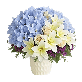 Serene Petal Harmony