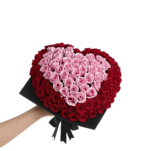 Blushing Rose Symphony