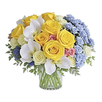 Glistening Rose Garden