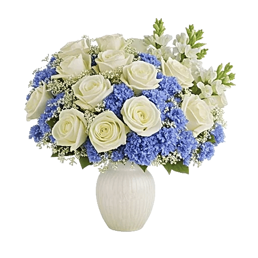 Ivory Blossom Radiance