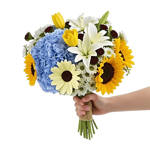 Blossom Harmony Display