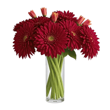 Crimson Blossom Harmony