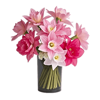 Petal Radiance Bliss