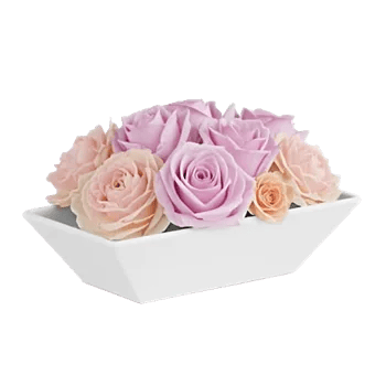 Delicate Petal Cascade