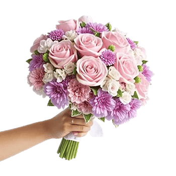 Blushing Rose Symphony