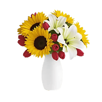 Radiant Bloom Cascade