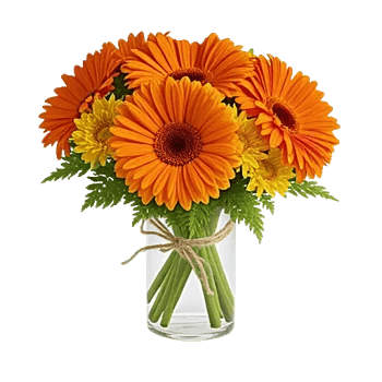 Petal Radiance Bliss