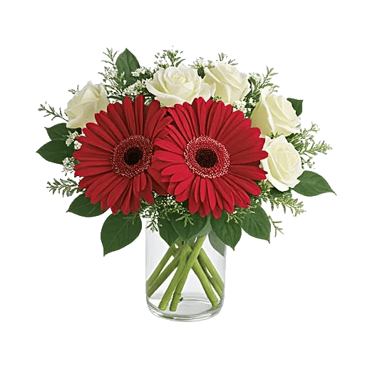 Petal Radiance Bliss
