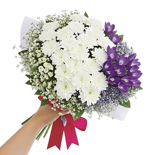 Delicate Petal Cascade