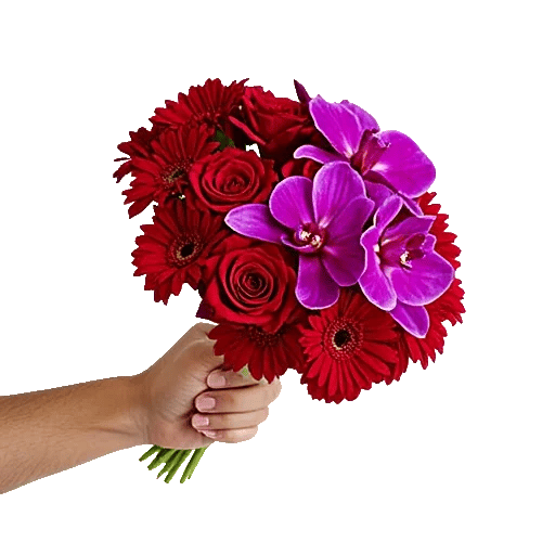 Crimson Rose Elegance