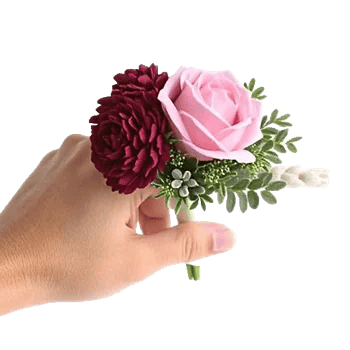 Plum Blossom Radiance