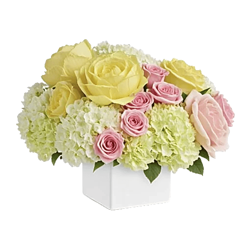 Petal Radiance Bliss