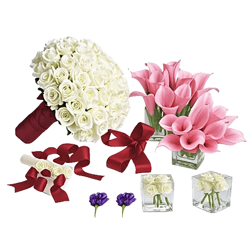 Elegant Calla Lilies