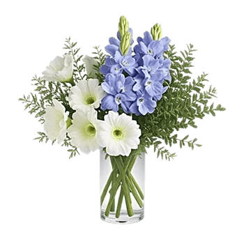 Serenity Blossom Grace