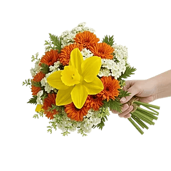 Blossom Harmony Display
