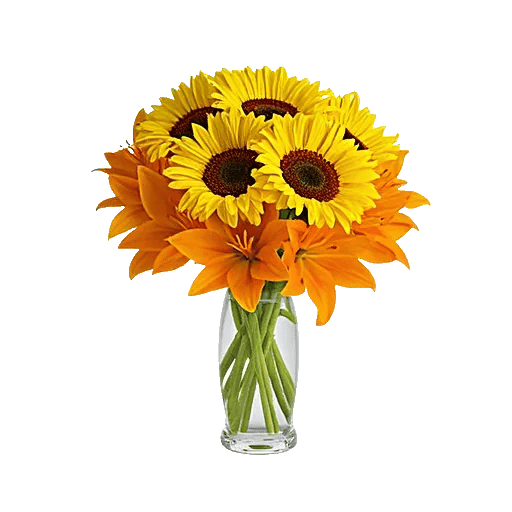 Golden Bloom Radiance