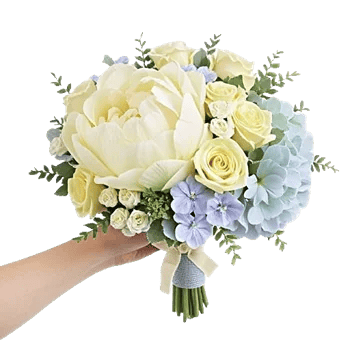 Peony Petal Harmony