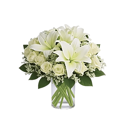 Graceful Lily Display
