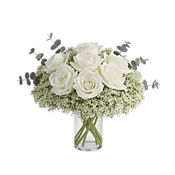 Minimalist White Orchids