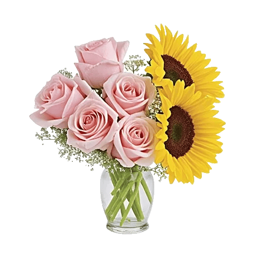 Pink Pastel Roses