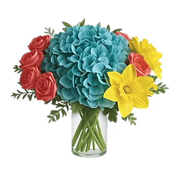 Petal Radiance Bliss