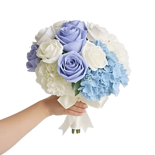 Serene Petal Harmony