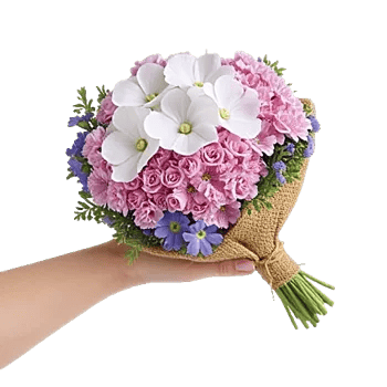 Blossom Petal Serenity