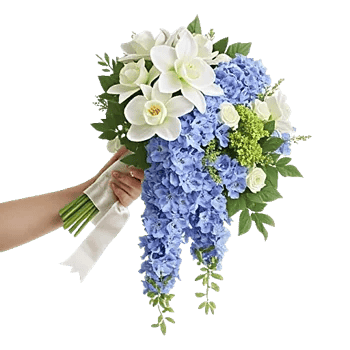 Orchid Bloom Cascade