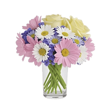 Petal Radiance Bliss