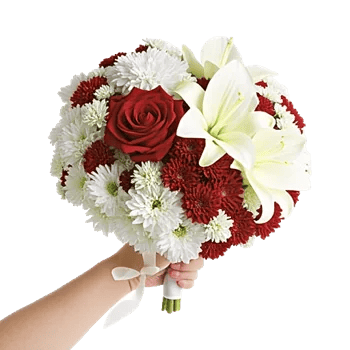 Blushing Rose Symphony