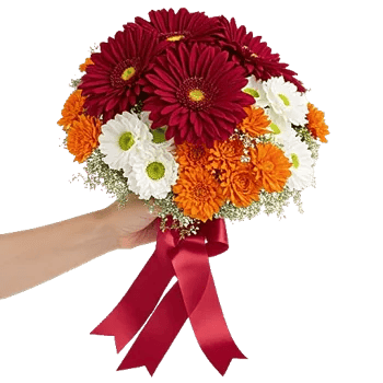 Crimson Blossom Harmony