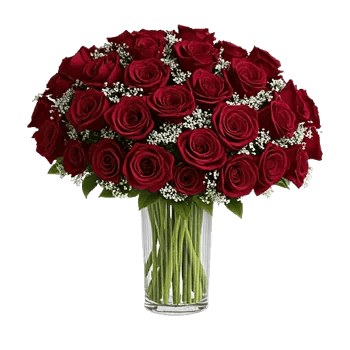 Crimson Rose Elegance