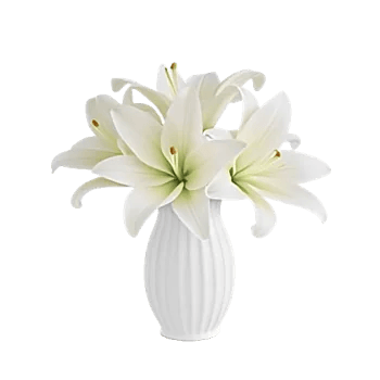 Graceful Lily Display