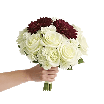 Blushing Rose Symphony