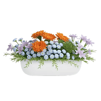 Blossom Petal Serenity