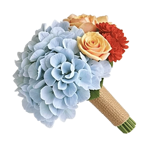 Sapphire Bloom Whisper