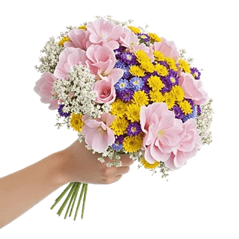 Blossom Radiant Whisper