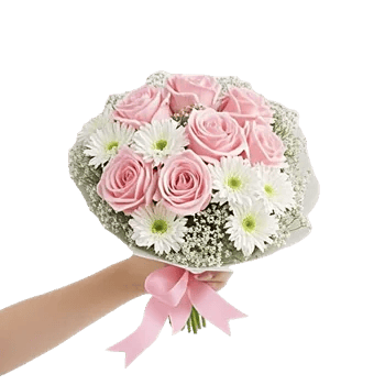 Blushing Rose Symphony