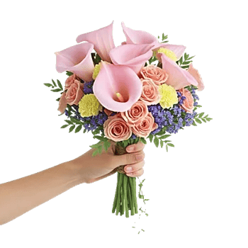 Elegant Calla Lilies