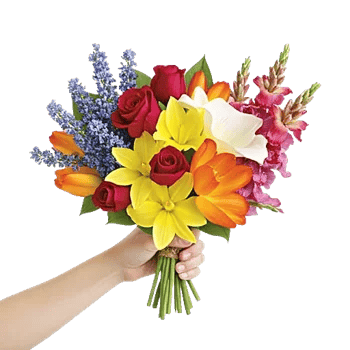 Serenity Blossom Grace