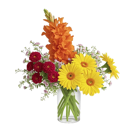 Petal Radiance Bliss