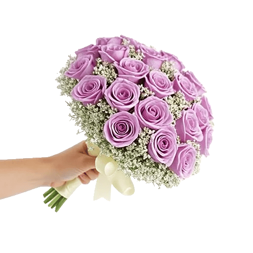 Blushing Rose Symphony