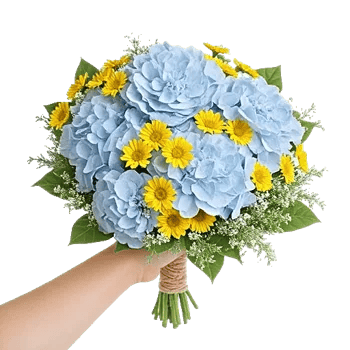 Serene Petal Harmony