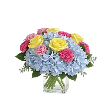 Serene Petal Harmony